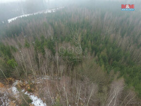 Prodej, les, 7313 m2, Česká Třebová