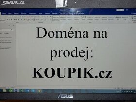 Doména :  KOUPIK.cz