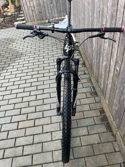 Lapierre Prorace 2019