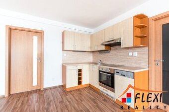 Pronájem velkometrážního bytu 4+kk s lodžiemi, 154 m2, Morav
