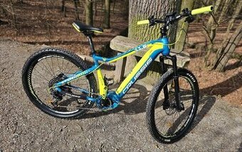 CRUSSIS e-Fionna 11.6 Velikost 19