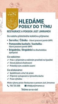 Servírka/číšník