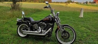 HARLEY DAVIDSON FXSTSI SPRINGER