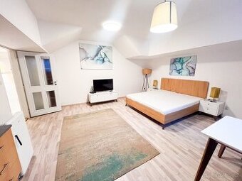 Pronájem bytu 1+kk 38 m2, Zelenářská ul. Znojmo - 1