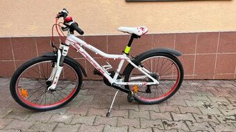 Dětské horské kolo Superior paint xc24