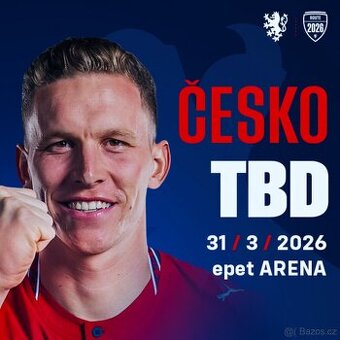 Vstupenky Česko vs Dánsko