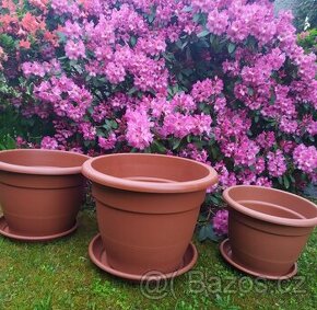 Velké a velmi velké nové květináče