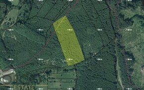 Aukce 0,37 ha lesních pozemků v k.ú. Zdebořice a Habartice u