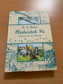 Medvídek Pú