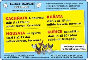Nabízíme k odběru kuřice, kachňata, ,housata, kuřata.