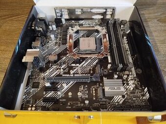 ASUS Prime B550M-K + AMD Ryzen 5 5600 v záruce