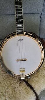 Pětistrunné banjo Fendr