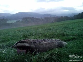 Prodám jezevčí sádlo