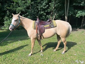 Prodám westernové sedlo