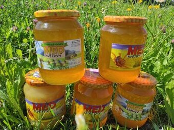 Med květový z Jeseniků