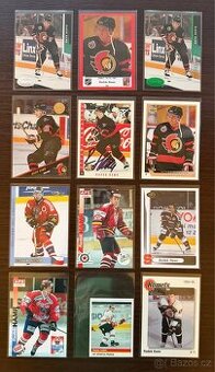 Hokejové karty Radek Hamr - 12 karet