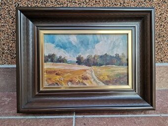 obraz Ivana Pavlišová