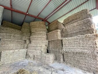 prodám seno