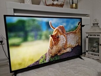 Smart Televize LG 49LJ594V