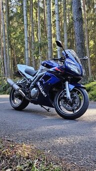 Suzuki SV 1000s