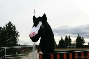 Černý hobby horse na prodej: Fantasy - 1