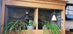 Terarium drevene