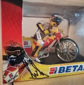 Plochá dráha - Speedway