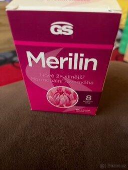 GS Merilin