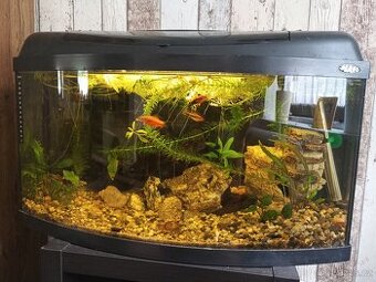 Akvárium cca 50 l