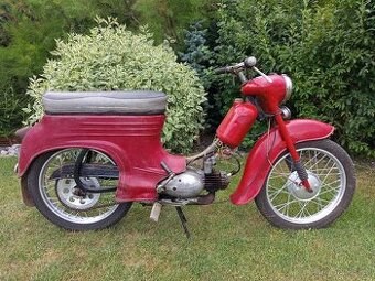 Jawa 555, pionýr