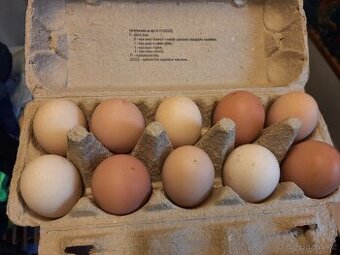 Domácí vajíčka