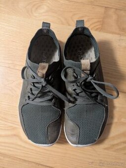 Vivobarefoot primus knit 38L (243mm)