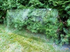 Čelní sklo ŠKODA 100