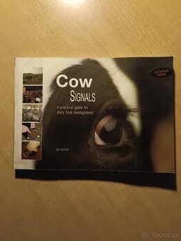 Cows signals