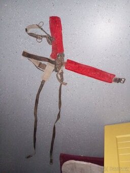 Postroj na sáňkování - 1