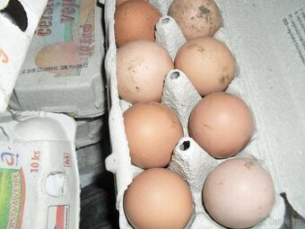prodám domácí vejce