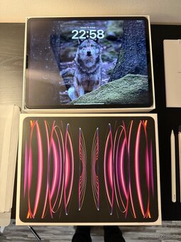 Apple iPad Pro 12.9” M2 (6th gen) 512GB Wi-Fi + Cellular