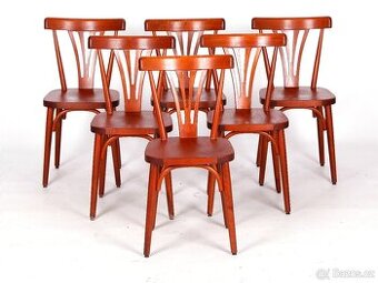 Masivní bukové židle do restaurace, 100 ks