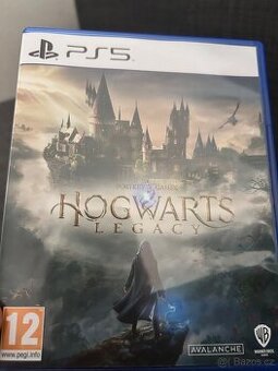 Hogwarts legacy