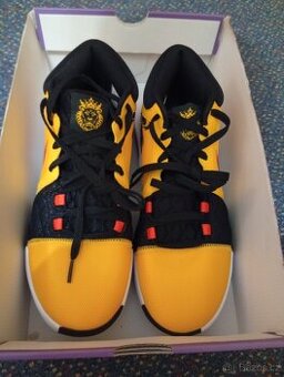 ORIGINÁLNÍ BOTY NIKE LEBRON WITNESS VIII 44