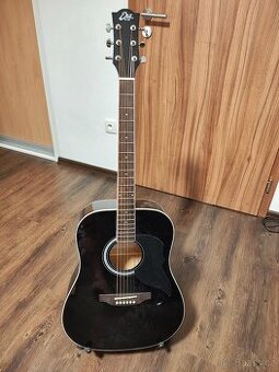 Kytara Eko guitars Ranger 6 EQ Black