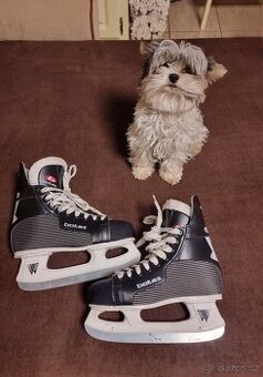 Detskd brusle vel 37 (super stav)