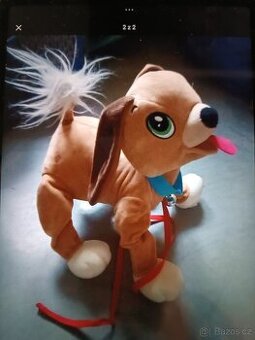 Pejsek floppy