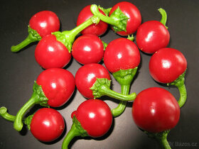 26 - Satan's Kiss chilli – minimálně 10 semínek