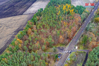 Prodej lesa, 6436 m², Lysá nad Labem