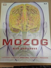 Mozog Rita Carterová Mozek