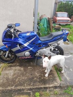 Honda 600 cbr