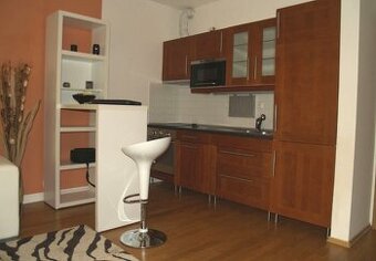 krásný byt 1+kk, 39m2 v ul. Kališnická, Praha 3 - Žižkov