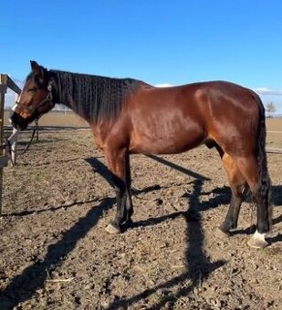 Parťák na vyjížďky