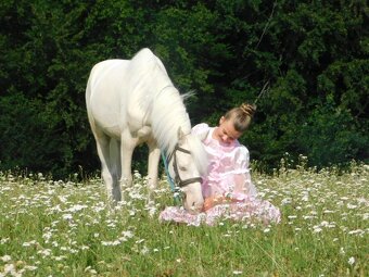 pony valach - pro princezny